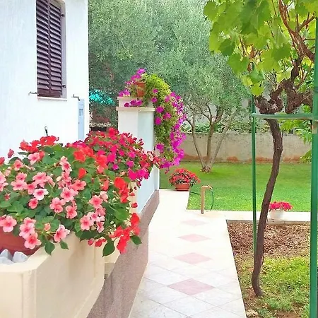 Burmeta Apartment